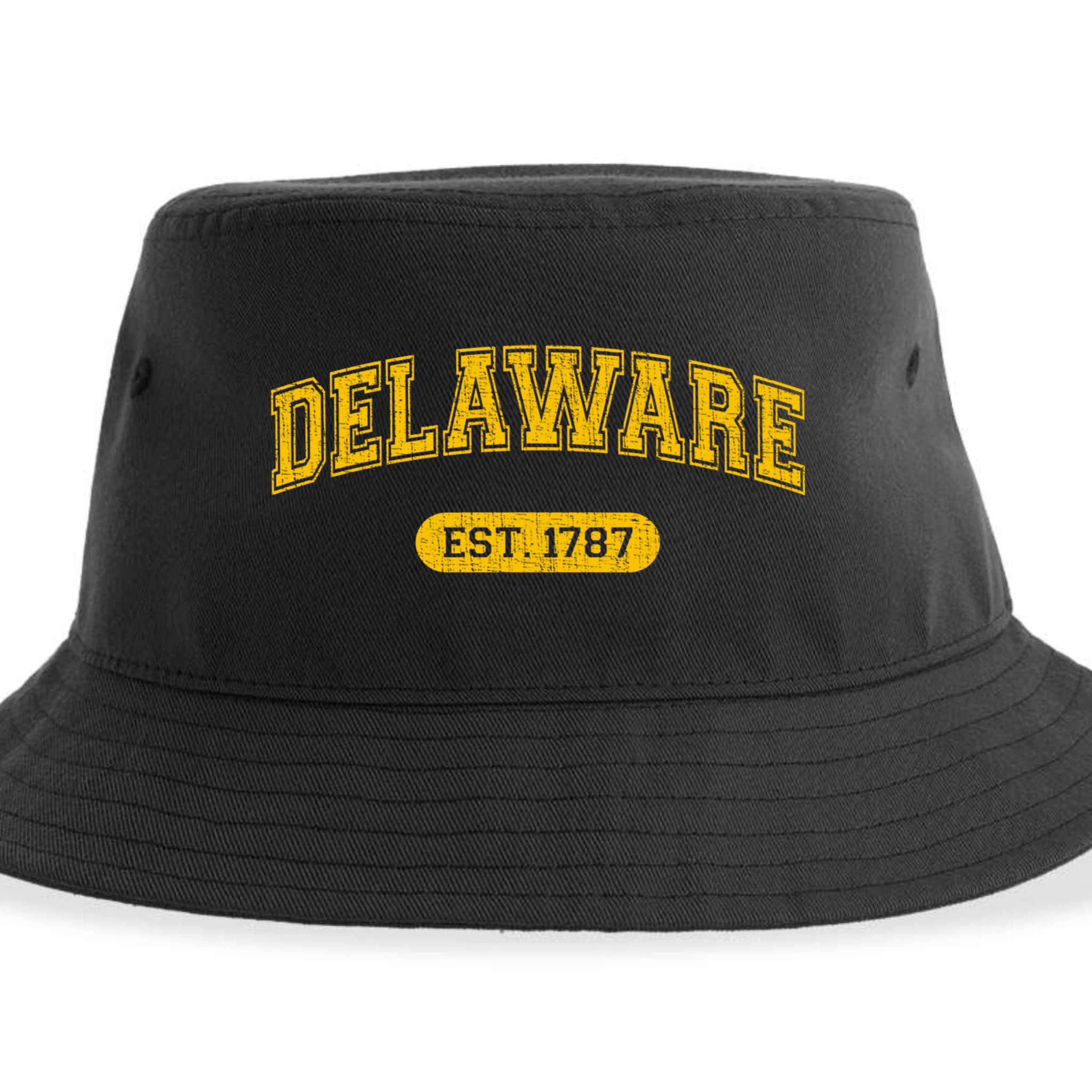 Retro Delaware 1787 Distressed Gift Sustainable Bucket Hat