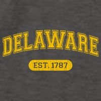 Retro Delaware 1787 Distressed Gift Vector Backpack