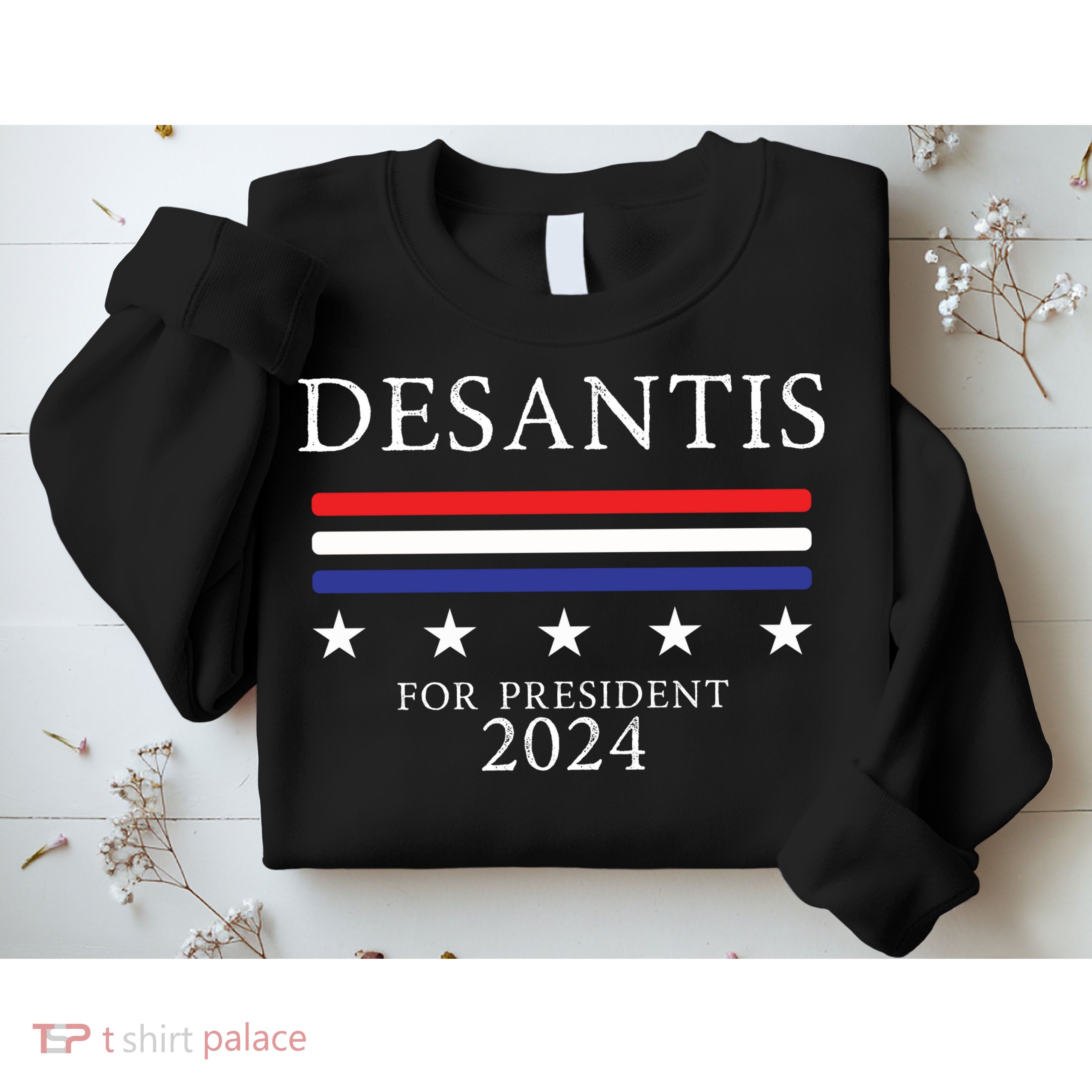 Ron Desantis 2024 Sweatshirt