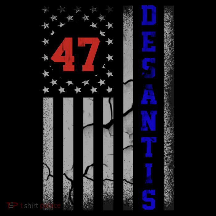 Ron Desantis 2024 American Flag Vintage Faded Distressed Poster