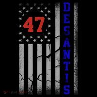 Ron Desantis 2024 American Flag Vintage Faded Distressed Womens T-Shirt