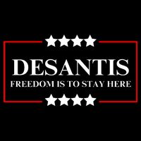 Ron DeSantis 2028 Presidential Election 2028 Freedom T-Shirt