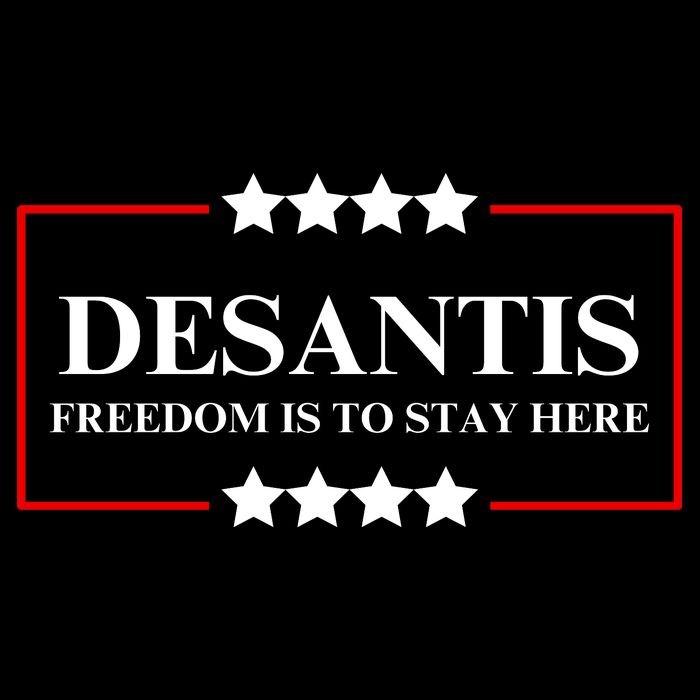 Ron DeSantis 2028 Presidential Election 2028 Freedom T-Shirt