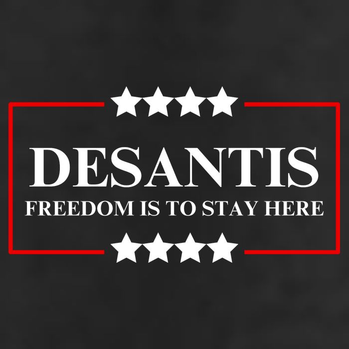 Ron DeSantis 2028 Presidential Election 2028 Freedom Adult Drive Performance Visor