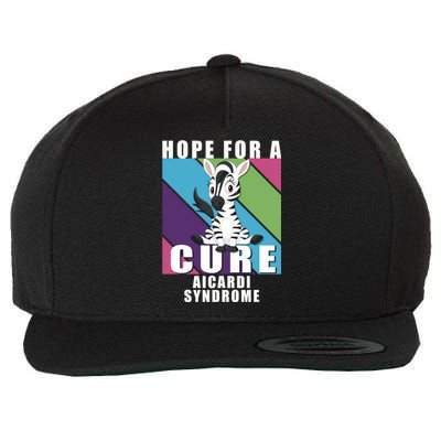 Rare Disease Awareness Day Hope Cure Aicardi Syndrome Funny Gift Wool Snapback Cap