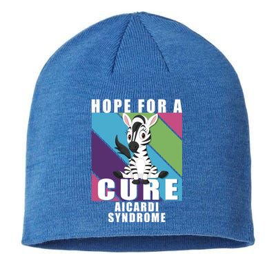 Rare Disease Awareness Day Hope Cure Aicardi Syndrome Funny Gift Sustainable Beanie