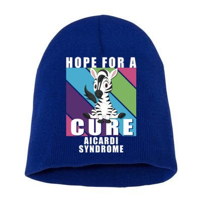 Rare Disease Awareness Day Hope Cure Aicardi Syndrome Funny Gift Short Acrylic Beanie