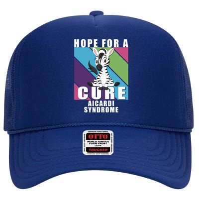 Rare Disease Awareness Day Hope Cure Aicardi Syndrome Funny Gift High Crown Mesh Back Trucker Hat