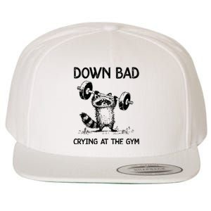 Racoon Down Bad Crying At The Gym Ttpd Wool Snapback Cap