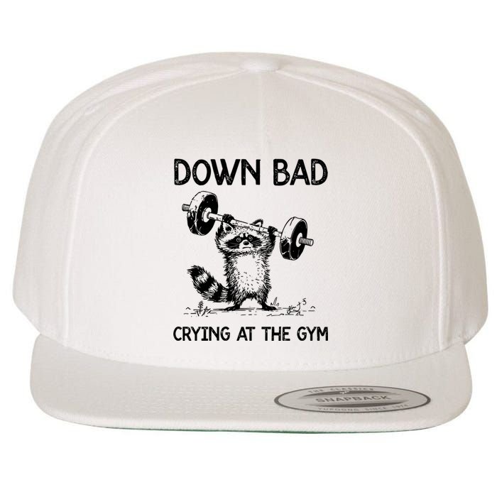 Racoon Down Bad Crying At The Gym Ttpd Wool Snapback Cap