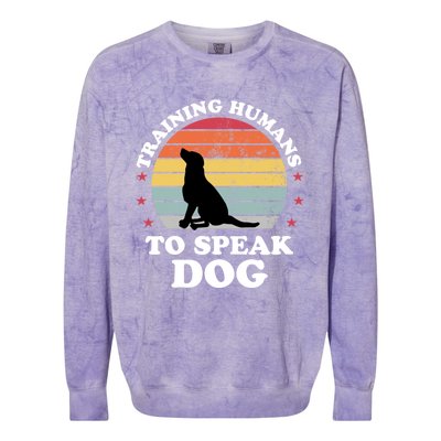 Retro Dog Comds Obedience Training Funny Dog Trainer Gift Colorblast Crewneck Sweatshirt