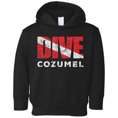 Retro Dive Cozumel Mexico Scuba Diver Vintage Dive Flag Toddler Hoodie