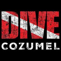 Retro Dive Cozumel Mexico Scuba Diver Vintage Dive Flag Visor