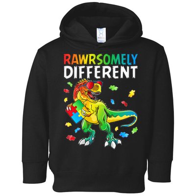 Rawrsomely Different Dinosaur Autism Puzzle Toddler Hoodie