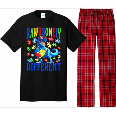 Rawrsomely Different Dinosaur Autism Awareness Puzzle Gift Pajama Set