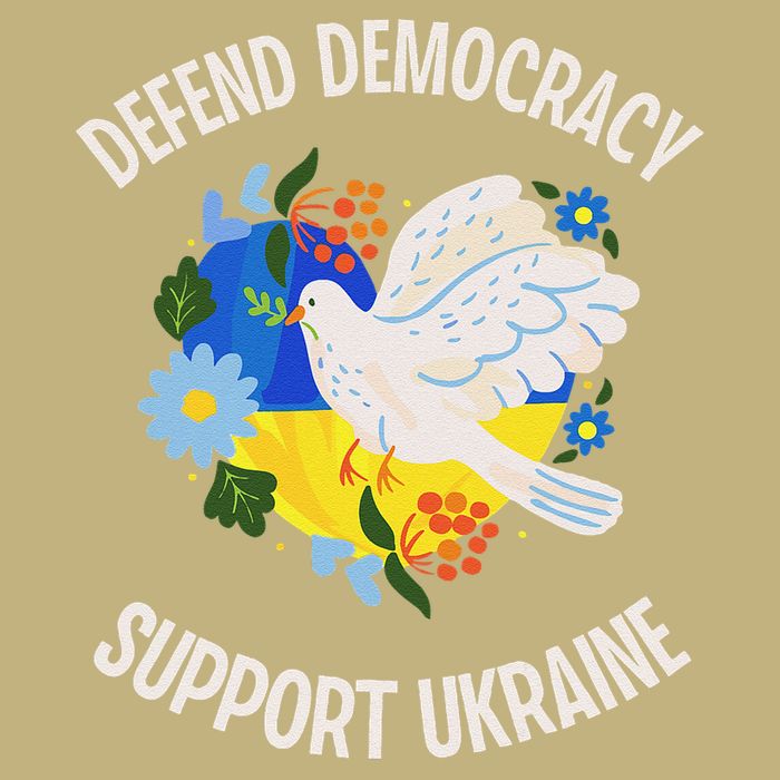 Retro Defend Democracy Support Ukraine Ukrainian Flag Button