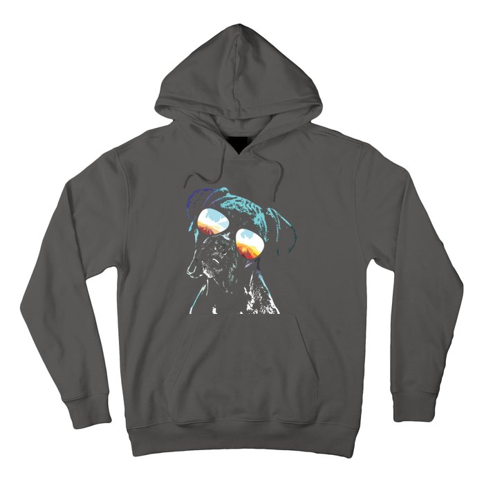 Retro Disco Dog Boxer Dog Hoodie