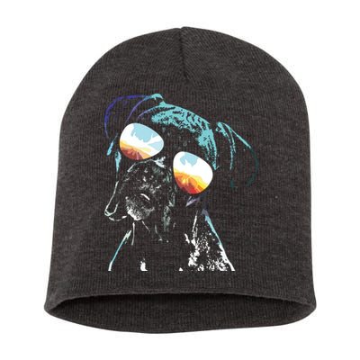 Retro Disco Dog Boxer Dog Short Acrylic Beanie
