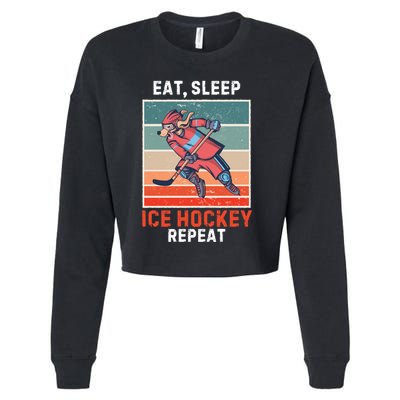 Retro Dog Eat Sleep Ice Hockey Repeat Vintage Ice Hockey Great Gift Cropped Pullover Crew