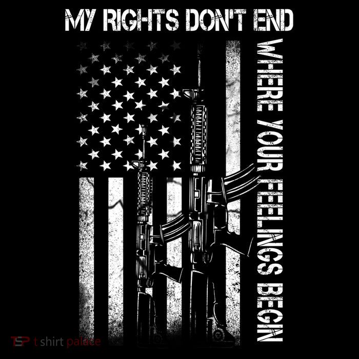 Rights Don't End Where Feelings Begin Premium T-Shirt