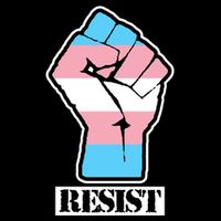 Resist Demigirl Fist Flag 7-Panel Snapback Hat