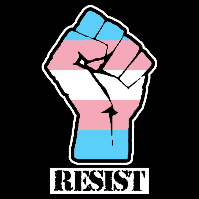 Resist Demigirl Fist Flag 7-Panel Snapback Hat