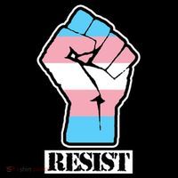 Resist Demigirl Fist Flag 16 in Basic Backpack