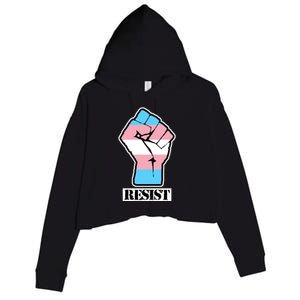 Resist Demigirl Fist Flag Crop Fleece Hoodie