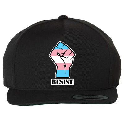 Resist Demigirl Fist Flag Wool Snapback Cap