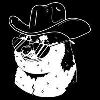 Rodeo Doge Funny Dogecoin City Backpack