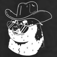 Rodeo Doge Funny Dogecoin Adult Drive Performance Visor