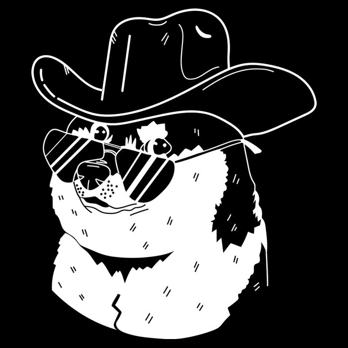 Rodeo Doge Funny Dogecoin Bucket Hat