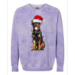 Rottweiler Dog Family Matching Santa Rottweiler Christmas Colorblast Crewneck Sweatshirt