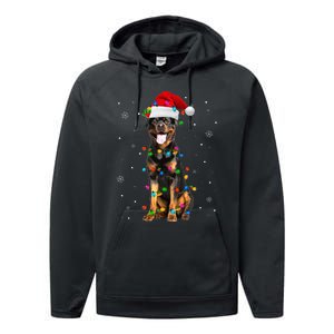 Rottweiler Dog Family Matching Santa Rottweiler Christmas Performance Fleece Hoodie