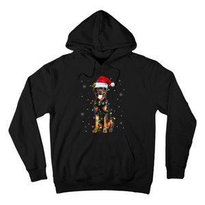 Rottweiler Dog Family Matching Santa Rottweiler Christmas Hoodie