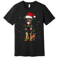 Rottweiler Dog Family Matching Santa Rottweiler Christmas Premium T-Shirt