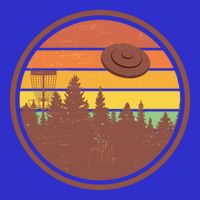 Retro Disc Golf Graphic Design Vintage Frolf Frisbee Lover Meaningful Gift Poster