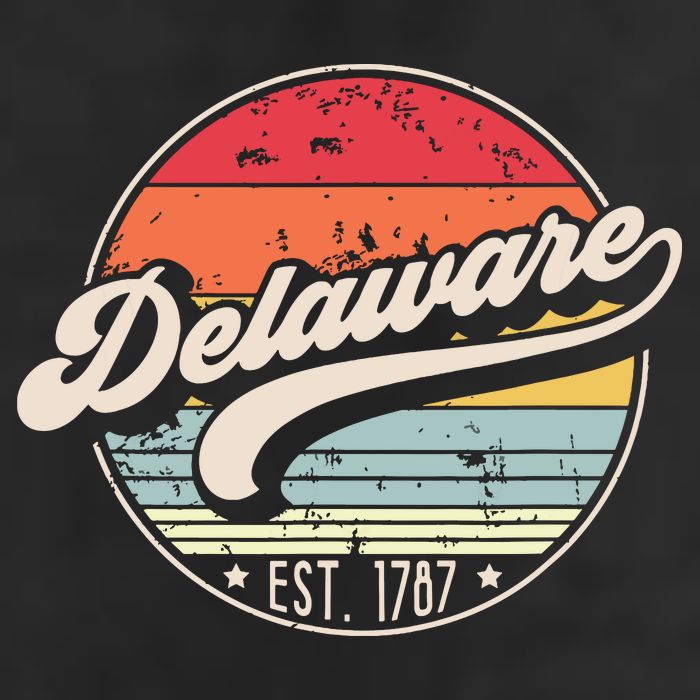 Retro Delaware Home State De Cool 70s Style Sunset Adult Drive Performance Visor