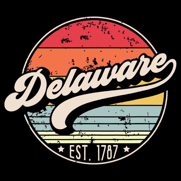 Retro Delaware Home State De Cool 70s Style Sunset 16 in Basic Backpack