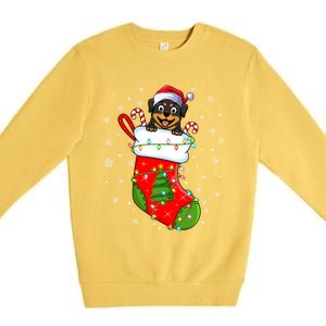 Rottweiler Dog In Christmas Sock Funny Santa Rottweiler Xmas Cool Gift Premium Crewneck Sweatshirt