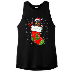 Rottweiler Dog In Christmas Sock Funny Santa Rottweiler Xmas Cool Gift Ladies PosiCharge Tri-Blend Wicking Tank