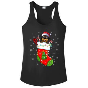 Rottweiler Dog In Christmas Sock Funny Santa Rottweiler Xmas Cool Gift Ladies PosiCharge Competitor Racerback Tank