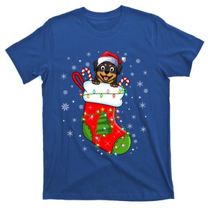 Rottweiler Dog In Christmas Sock Funny Santa Rottweiler Xmas Cool Gift T-Shirt