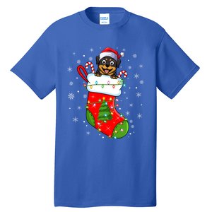 Rottweiler Dog In Christmas Sock Funny Santa Rottweiler Xmas Cool Gift Tall T-Shirt