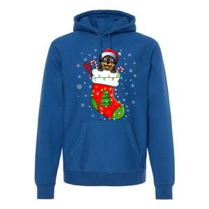 Rottweiler Dog In Christmas Sock Funny Santa Rottweiler Xmas Cool Gift Premium Hoodie