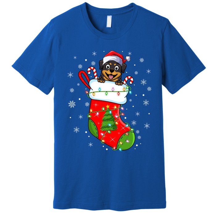 Rottweiler Dog In Christmas Sock Funny Santa Rottweiler Xmas Cool Gift Premium T-Shirt