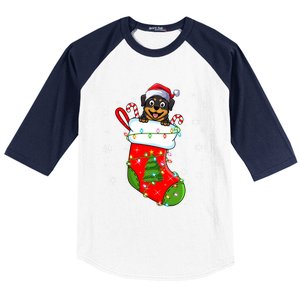 Rottweiler Dog In Christmas Sock Funny Santa Rottweiler Xmas Cool Gift Baseball Sleeve Shirt