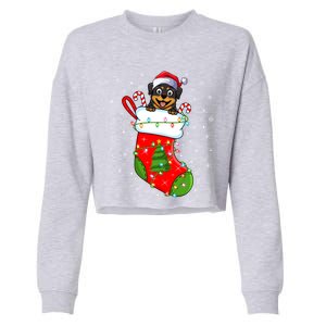 Rottweiler Dog In Christmas Sock Funny Santa Rottweiler Xmas Cool Gift Cropped Pullover Crew