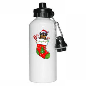 Rottweiler Dog In Christmas Sock Funny Santa Rottweiler Xmas Cool Gift Aluminum Water Bottle