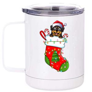 Rottweiler Dog In Christmas Sock Funny Santa Rottweiler Xmas Cool Gift 12 oz Stainless Steel Tumbler Cup